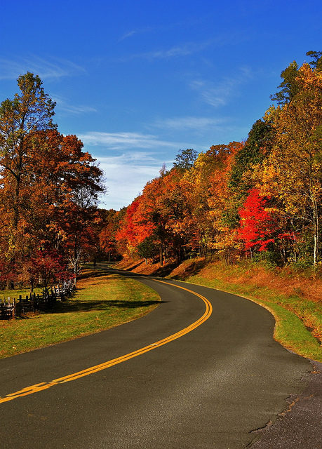Fall foliage on Blue Ridge Parkway