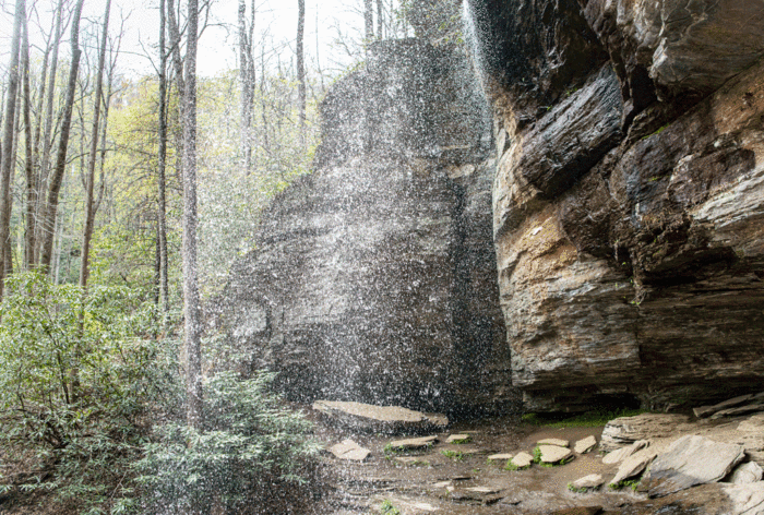 View of Moore's Cove from behind the waterfall