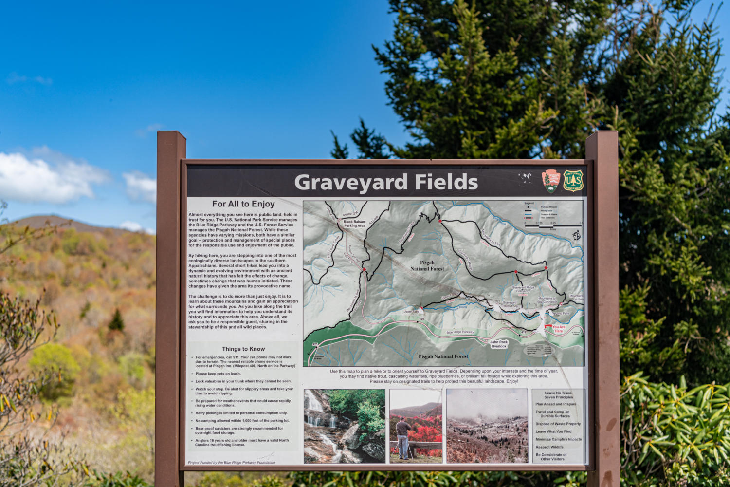 Everything You Need To Know About Hiking Graveyard Fields Trail And   Waterfall Associates 20220512 1011 